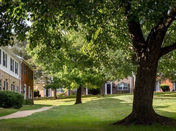 Inviting green courtyards
